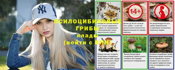 гашик Алексеевка