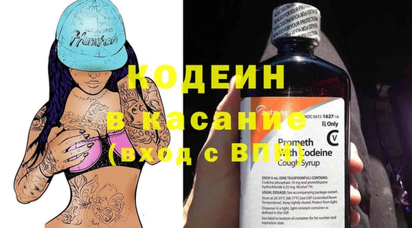 гашик Алексеевка
